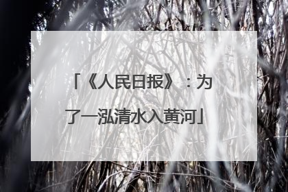 《人民日报》：为了一泓清水入黄河