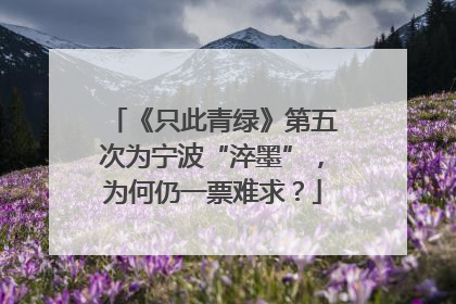 《只此青绿》第五次为宁波“淬墨”，为何仍一票难求？