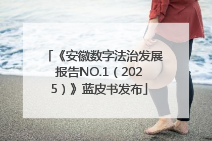 《安徽数字法治发展报告NO.1（2025）》蓝皮书发布