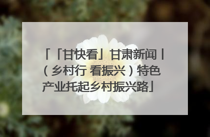 「甘快看」甘肃新闻丨（乡村行 看振兴）特色产业托起乡村振兴路