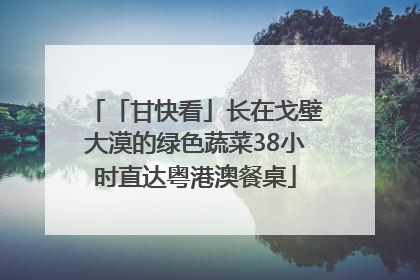 「甘快看」长在戈壁大漠的绿色蔬菜38小时直达粤港澳餐桌