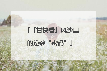 「甘快看」风沙里的逆袭“密码”