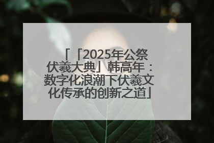「2025年公祭伏羲大典」韩高年：数字化浪潮下伏羲文化传承的创新之道