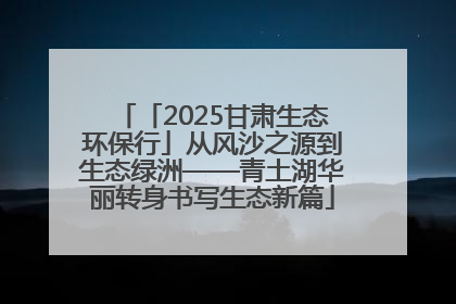 「2025甘肃生态环保行」从风沙之源到生态绿洲——青土湖华丽转身书写生态新篇