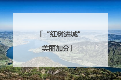 “红树进城” 美丽加分