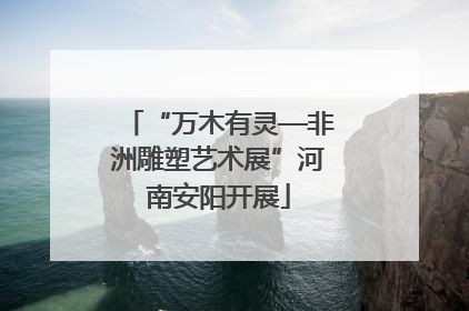 “万木有灵—非洲雕塑艺术展”河南安阳开展
