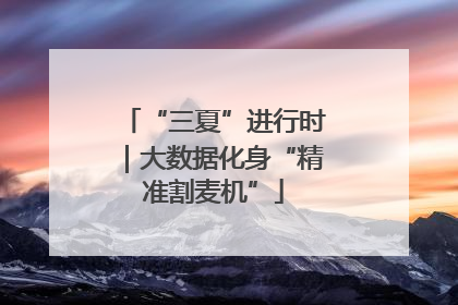 “三夏”进行时｜大数据化身“精准割麦机”