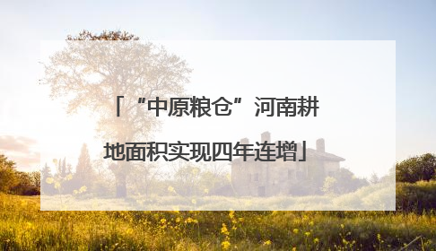 “中原粮仓”河南耕地面积实现四年连增