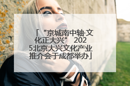“京城南中轴·文化正大兴” 2025北京大兴文化产业推介会于成都举办