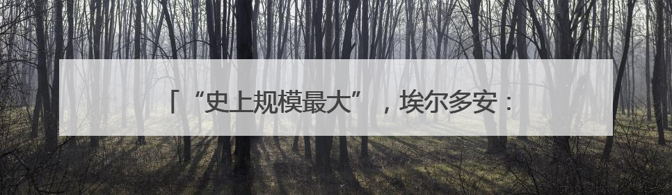 “史上规模最大”，埃尔多安：向印尼出口48架第五代战机