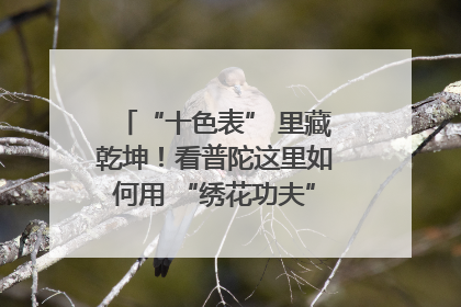 “十色表” 里藏乾坤！看普陀这里如何用 “绣花功夫” 织就社区治理
