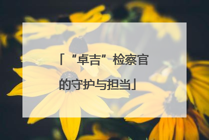 “卓吉”检察官的守护与担当