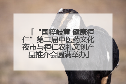 “国粹岐黄 健康桓仁”第二届中医药文化夜市与桓仁农礼文创产品推介会圆满举办