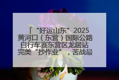“好运山东”2025黄河口（东营）国际公路自行车赛东营区龙居站 完美“抄作业”，苦战最后时刻黄衫易主