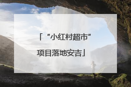 “小红村超市”项目落地安吉