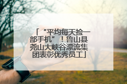 “平均每天捡一部手机”！鲁山县尧山大峡谷漂流集团表彰优秀员工