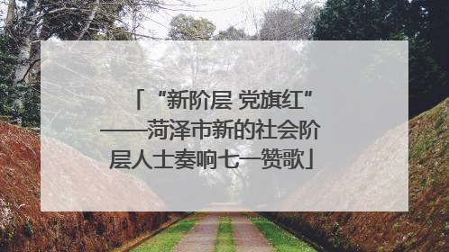 “新阶层 党旗红”——菏泽市新的社会阶层人士奏响七一赞歌