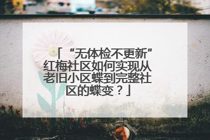 “无体检不更新”红梅社区如何实现从老旧小区蝶到完整社区的蝶变？