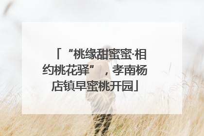 “桃缘甜蜜蜜·相约桃花驿”，孝南杨店镇早蜜桃开园