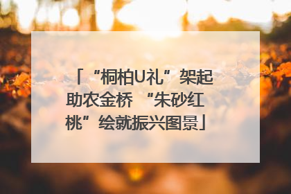 “桐柏U礼”架起助农金桥 “朱砂红桃”绘就振兴图景