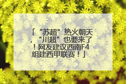 “苏超”热火朝天，“川超”也要来了！网友建议西南F4组建西甲联赛！