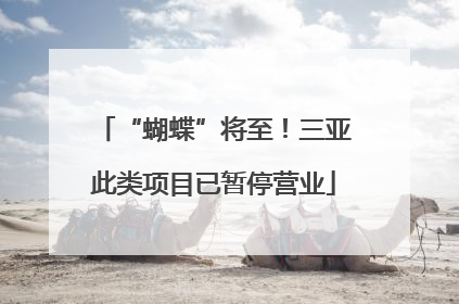 “蝴蝶”将至！三亚此类项目已暂停营业