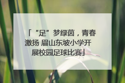 “足”梦绿茵，青春激扬 眉山东坡小学开展校园足球比赛