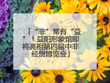 “非”常有“益”！益阳形象馆即将亮相第四届中非经贸博览会