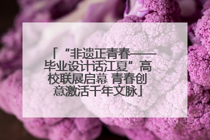 “非遗正青春——毕业设计话江夏”高校联展启幕 青春创意激活千年文脉