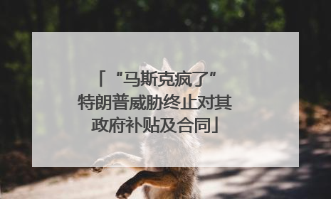 “马斯克疯了” 特朗普威胁终止对其政府补贴及合同