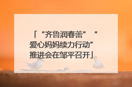 “齐鲁润春蕾”“爱心妈妈续力行动”推进会在邹平召开