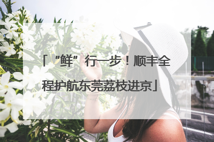 “鲜”行一步！顺丰全程护航东莞荔枝进京