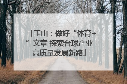 玉山：做好“体育+”文章 探索台球产业高质量发展新路