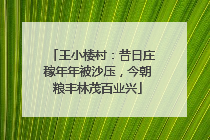 王小楼村：昔日庄稼年年被沙压，今朝粮丰林茂百业兴