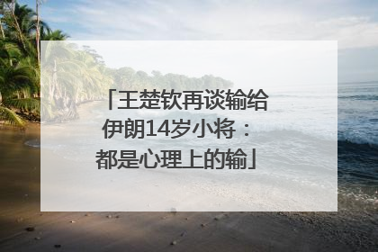 王楚钦再谈输给伊朗14岁小将：都是心理上的输