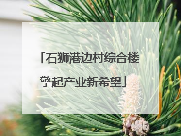 石狮港边村综合楼擎起产业新希望