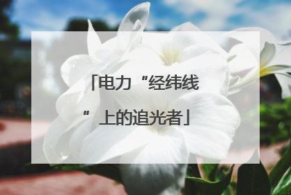 电力“经纬线”上的追光者