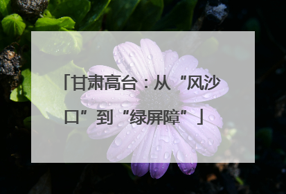 甘肃高台：从“风沙口”到“绿屏障”