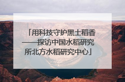 用科技守护黑土稻香——探访中国水稻研究所北方水稻研究中心