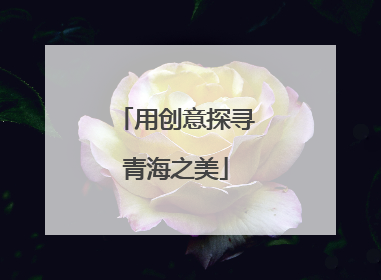 用创意探寻青海之美