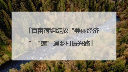 百亩荷塘绽放“美丽经济”“莲”通乡村振兴路