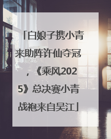 白娘子携小青来助阵许仙夺冠，《乘风2025》总决赛小青战袍来自吴江