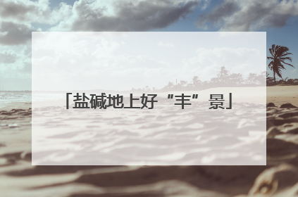 盐碱地上好“丰”景