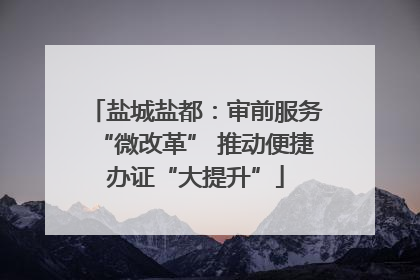 盐城盐都：审前服务“微改革” 推动便捷办证“大提升”