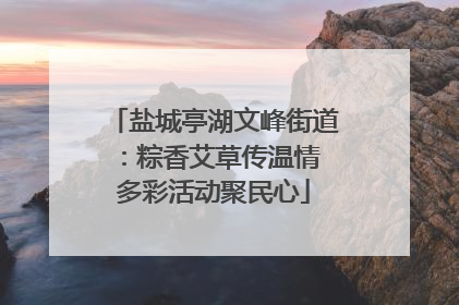 盐城亭湖文峰街道：粽香艾草传温情 多彩活动聚民心