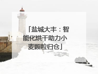 盐城大丰：智能化烘干助力小麦颗粒归仓