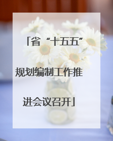 省“十五五”规划编制工作推进会议召开