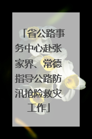省公路事务中心赴张家界、常德指导公路防汛抢险救灾工作