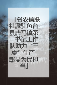 省农信联社派驻鱼台县唐马镇第一书记工作队助力“三夏”生产 彰显为民担当