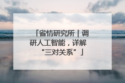 省情研究所｜调研人工智能，详解“三对关系”